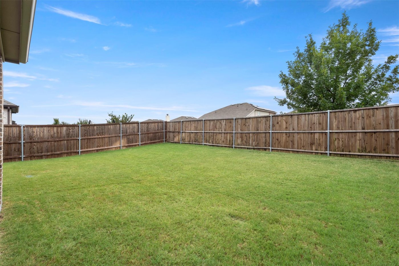 Spacious grassy backyard at 1848 Coronet Ave, Aubrey, TX