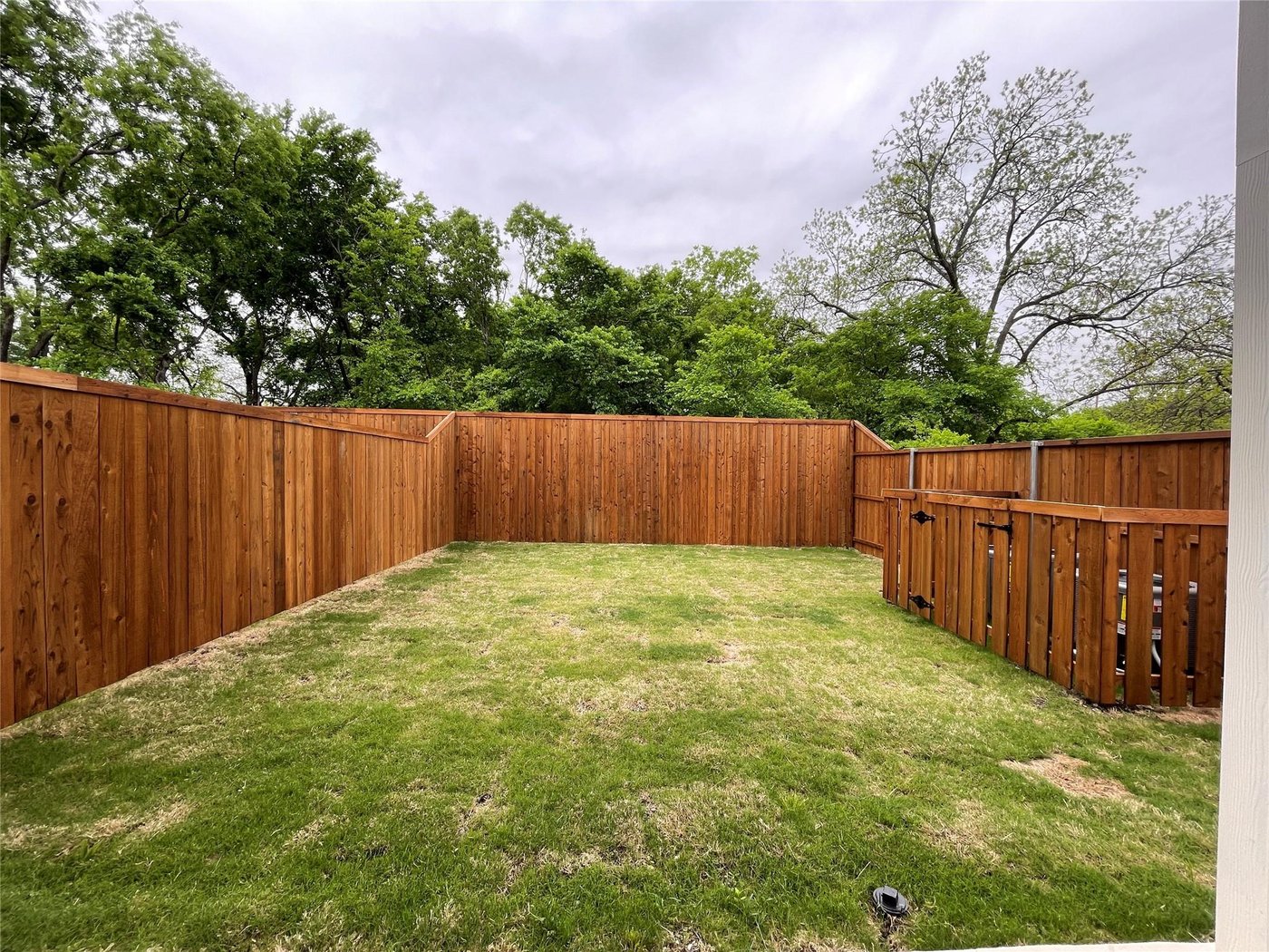 Lush fenced backyard at 2417 N Winnetka Ave, Dallas, TX