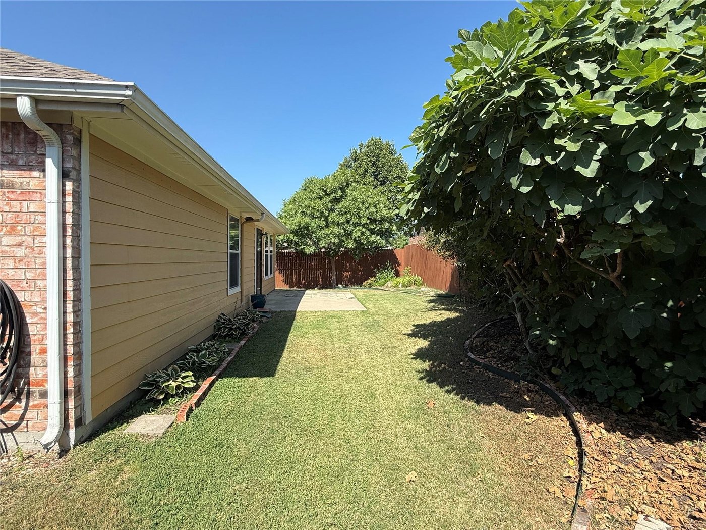 Fenced side yard with green grass at 3605 Cottonwood Rd, Melissa, TX