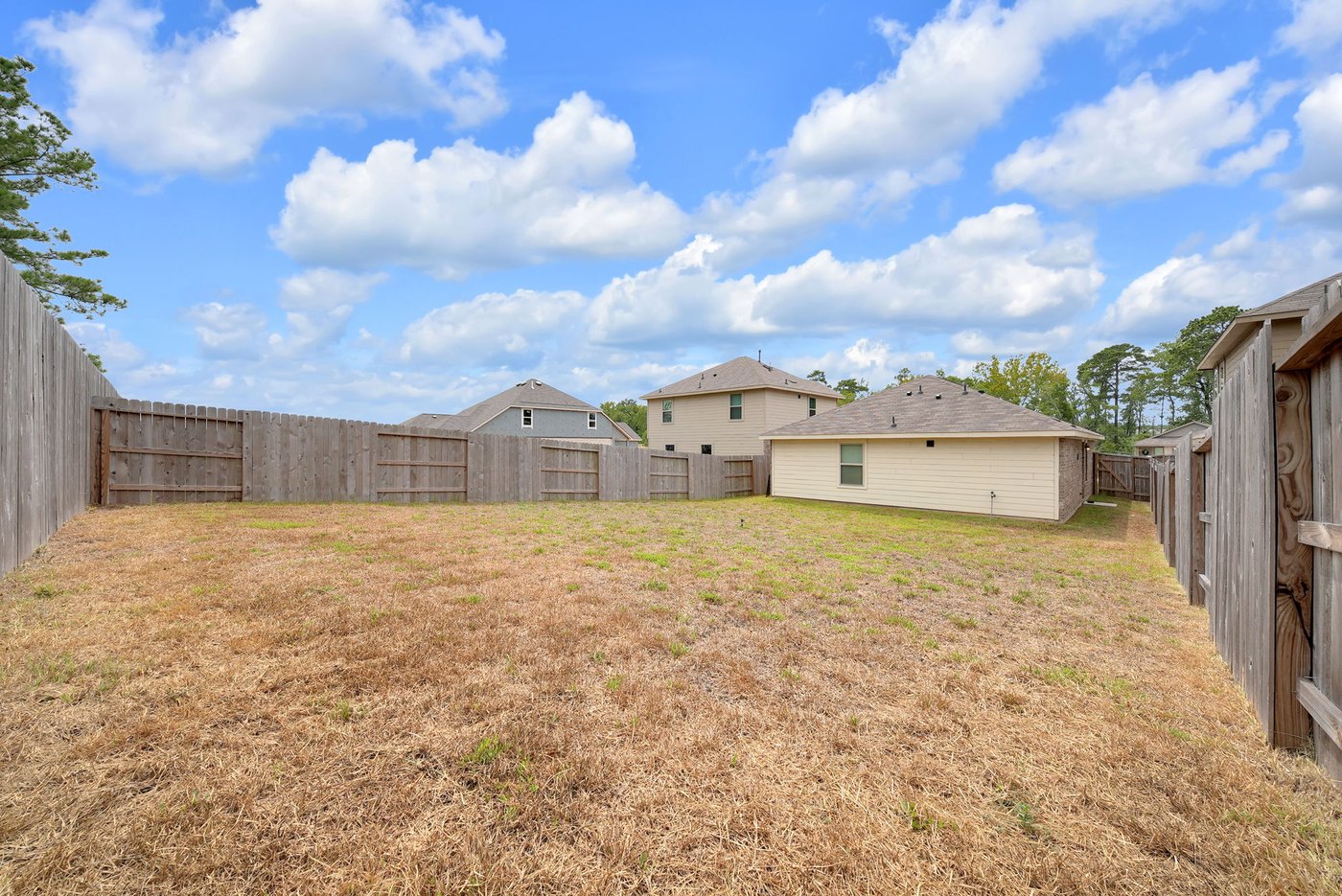 Fenced backyard with a grassy lawn at 597 Falling Cave Dr, Willis